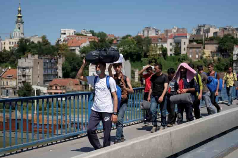 Des migrants marchent de la serbie vers la hongrie