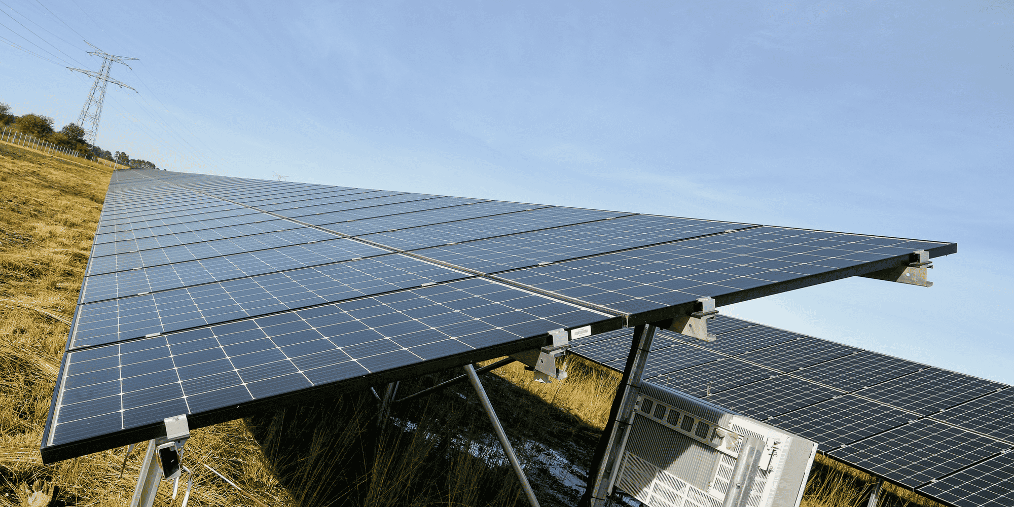 Les 22 hectares de la centrale solaire de Merle-Sud, en Gironde, seront partiellement entretenus par des moutons dans le cadre d'un accord de pâturage passé avec un éleveur local.
