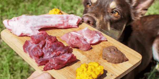 QRU alimentation animale BARF