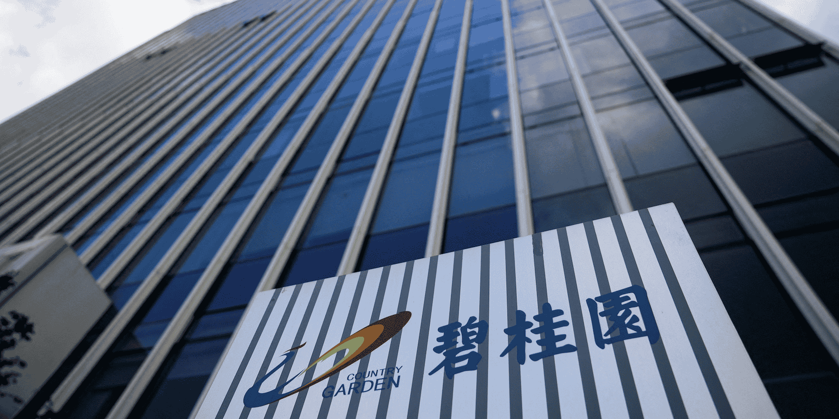 Le groupe figure au classement Forbes des 500 plus grosses entreprises du monde et sa patronne, Yang Huiyan, était jusqu'à récemment la femme la plus riche d'Asie.