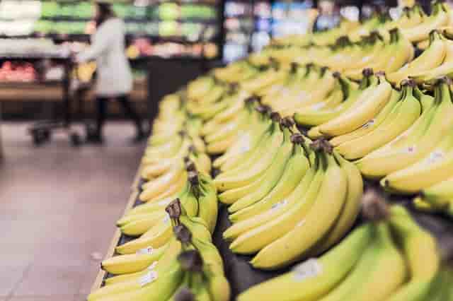 Dans les pays riches, les normes sociales entraînent le rejet des produits à l'aspect non conforme.