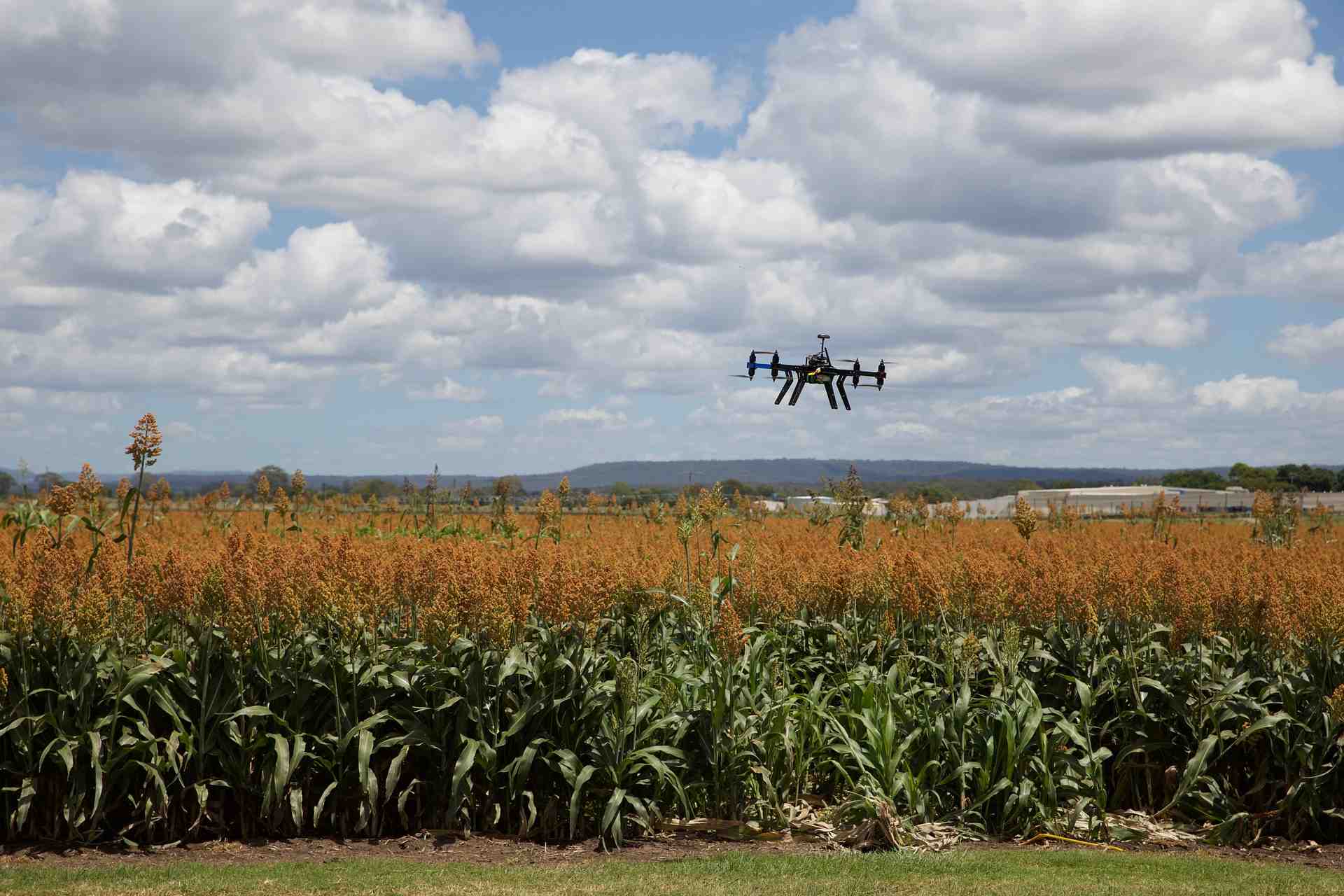 Les chiffres de l'agriculture