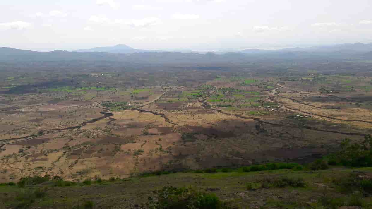parc assela ethiopie