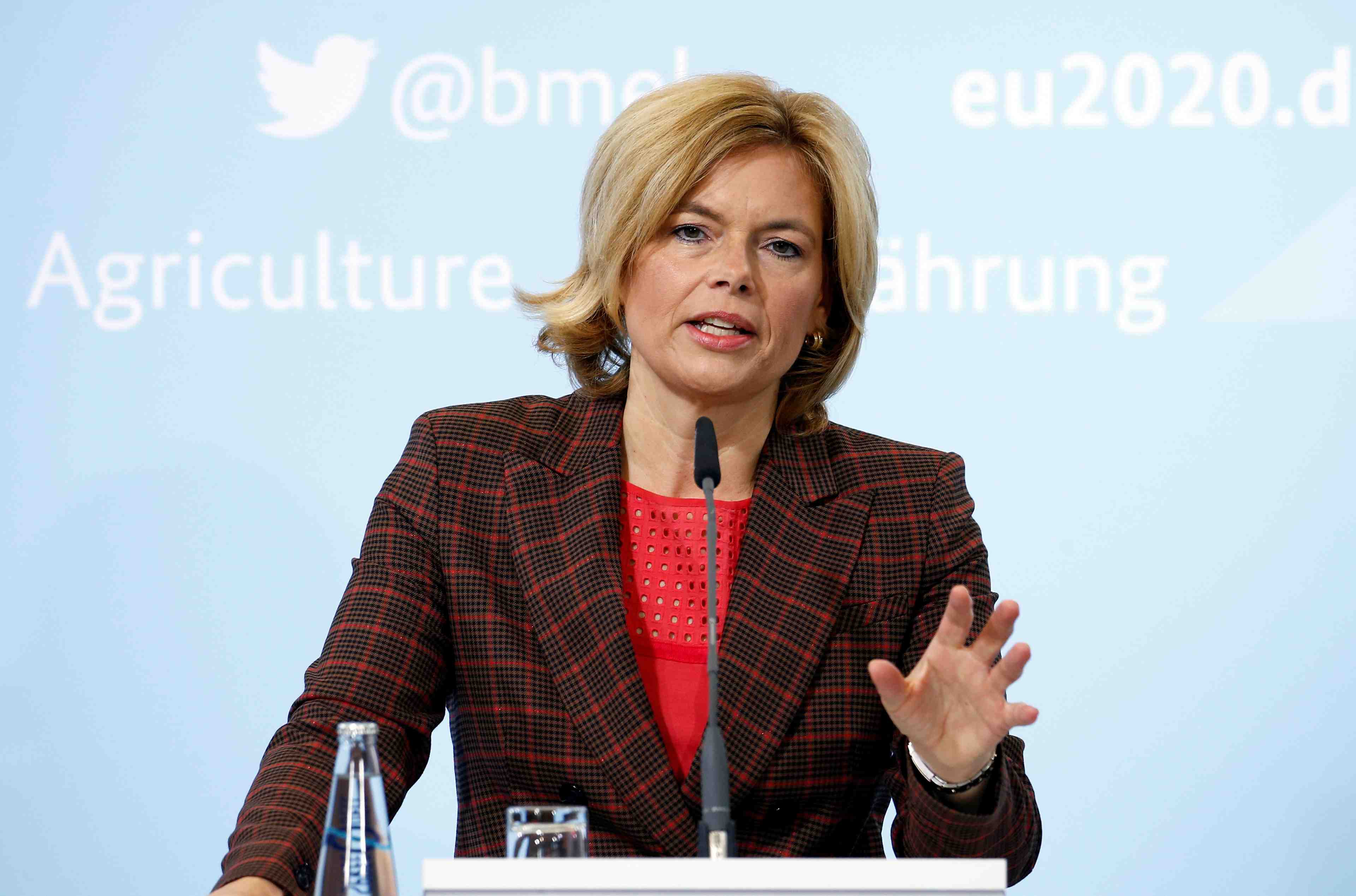 L'allemagne confirme un premier cas de peste porcine