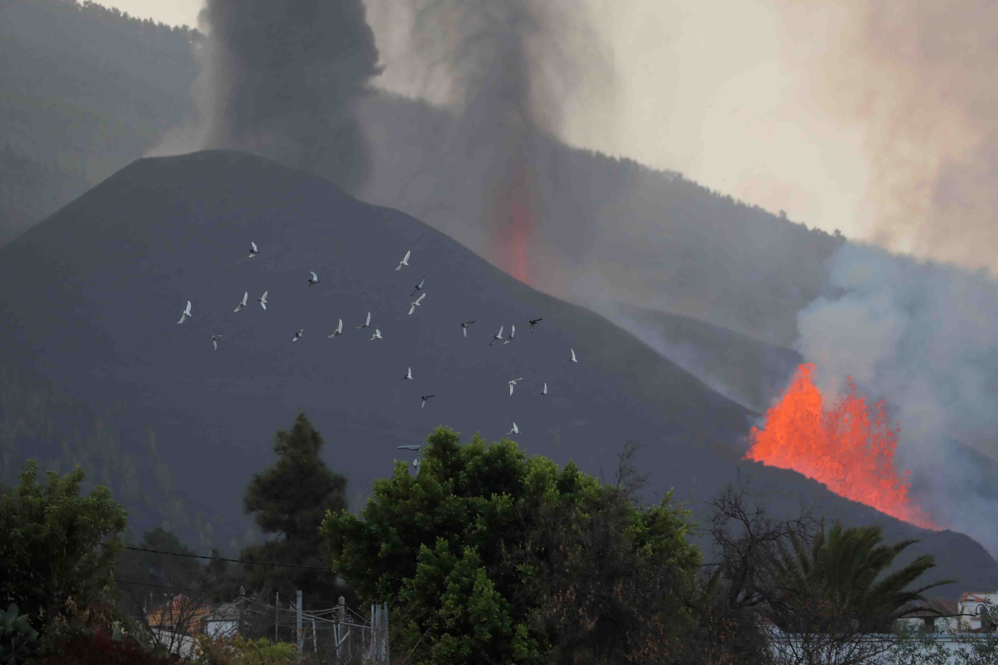 Espagne: l'etat de catastrophe naturelle decrete a la palma
