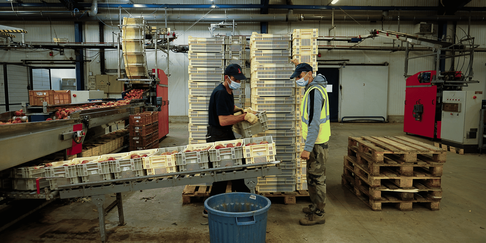 L'AOP Pêches et abricots de France regroupe aujourd'hui 80 % de la production française de pêches, majoritairement dans le Roussillon et la plaine de la Crau.