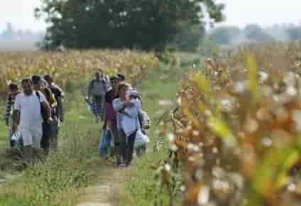 De nombreux migrants continuent d'entrer en croatie