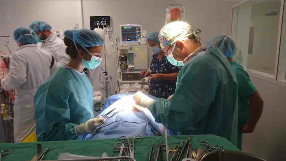 Contrairement aux dispositifs de centrifugation, le procédé mis au point par I-Sep est capable, lors d'une opération chirurgicale, de traiter et de réinjecter au patient ses globules rouges, mais aussi ses plaquettes.