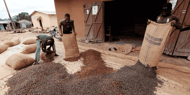 Ghana cacao