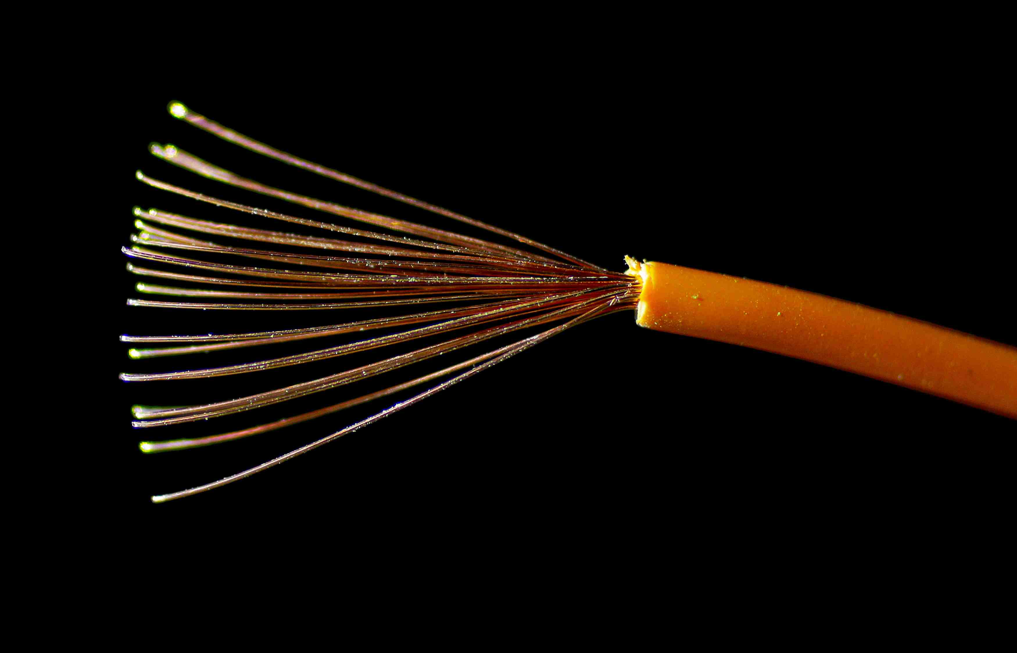 Legrand et rexel neutralisent au 1er semestre les tarifs douaniers us