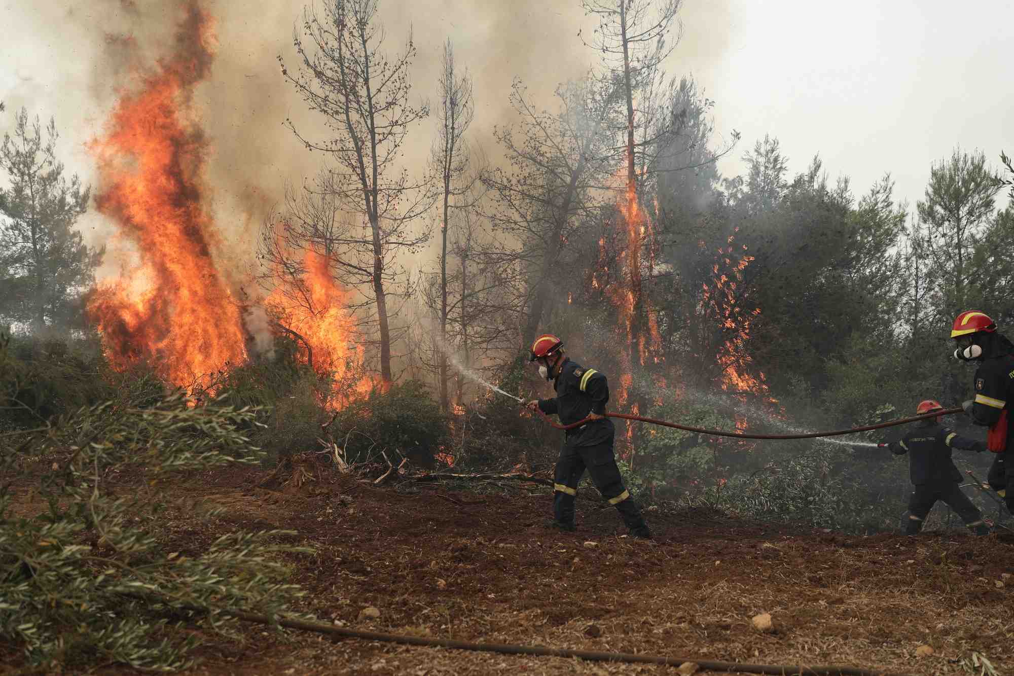 Nomination d'un nouveau ministre en grece pour gerer les consequences des incendies
