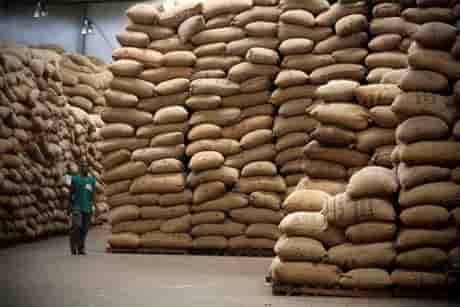 noix de cajou Côte d'Ivoire stockage