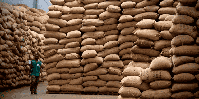 noix de cajou Côte d'Ivoire stockage
