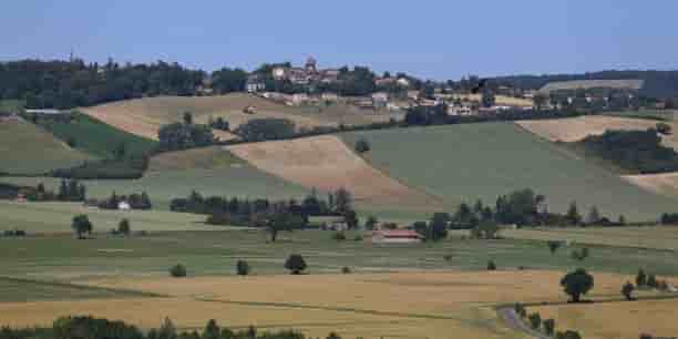 agriculture