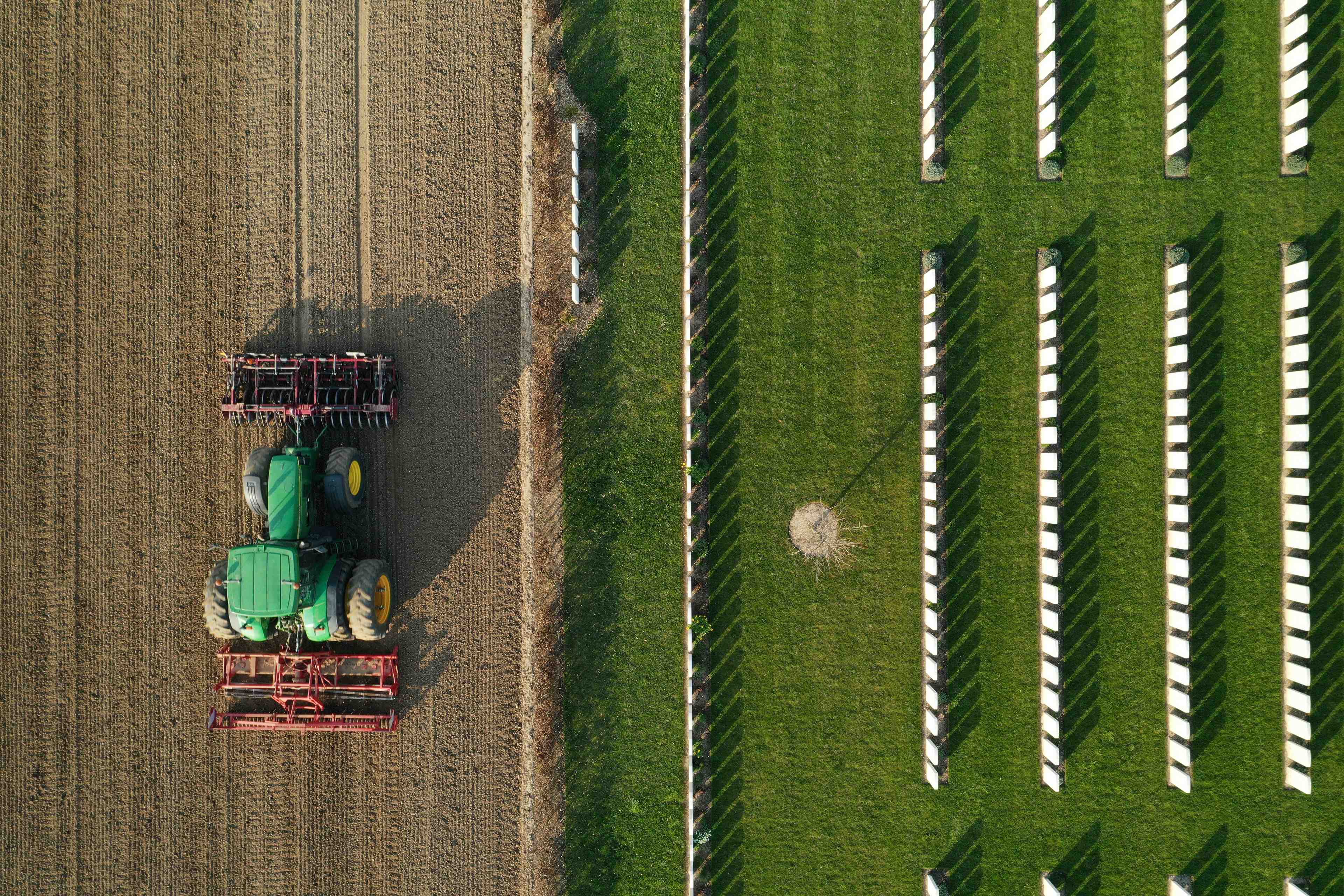 Coronavirus: des refugies "mobilises" aupres des agriculteurs en seine-et-marne