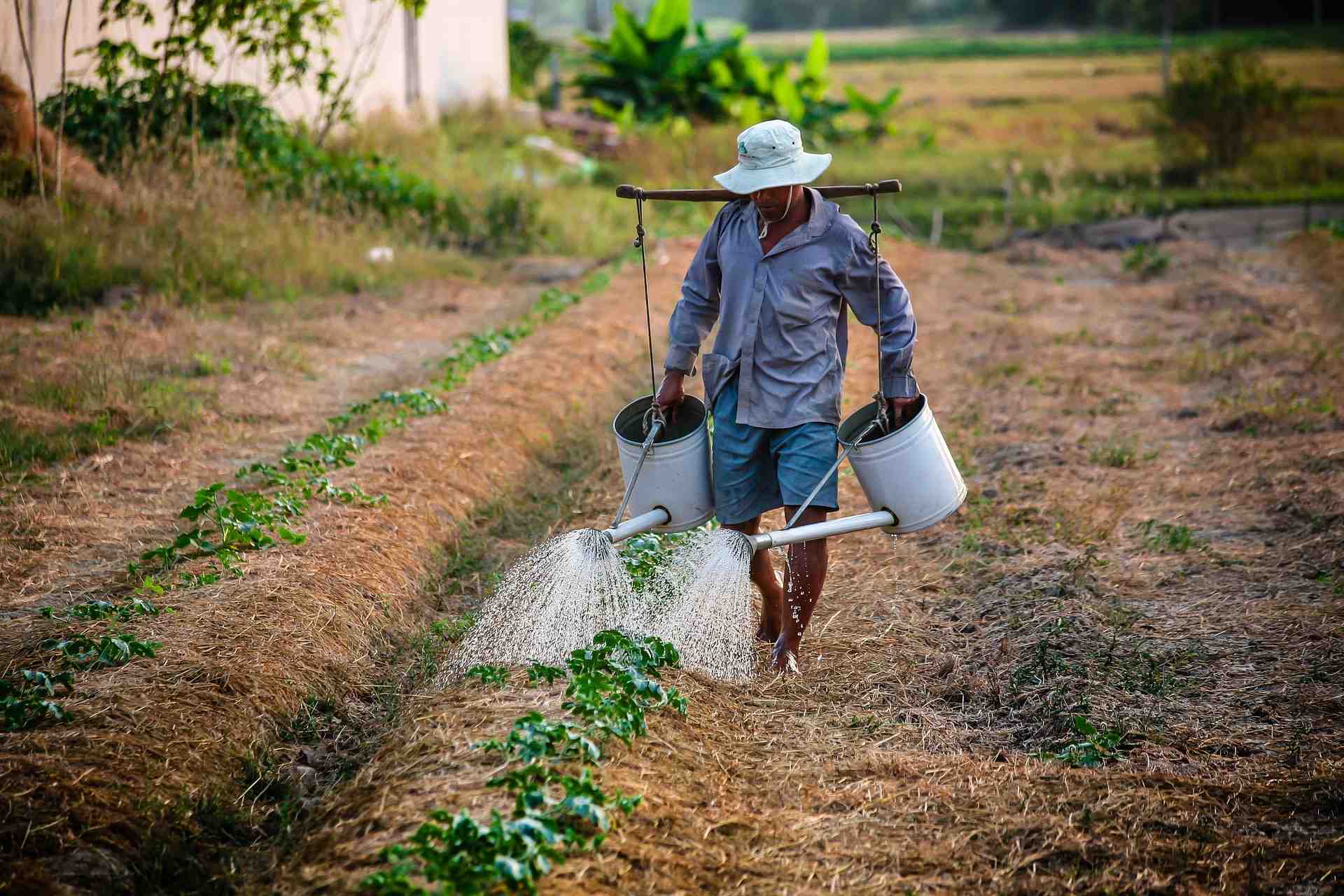 Le rapport sous-estime potentiellement ces coûts de quelque 20% (Photo d'illustration).