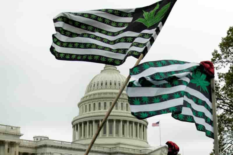L'etat de washington autorise la marijuana bio