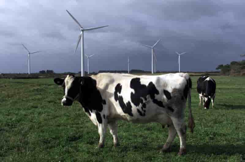 Rappel de 2.000 boites de lait infantile premilait