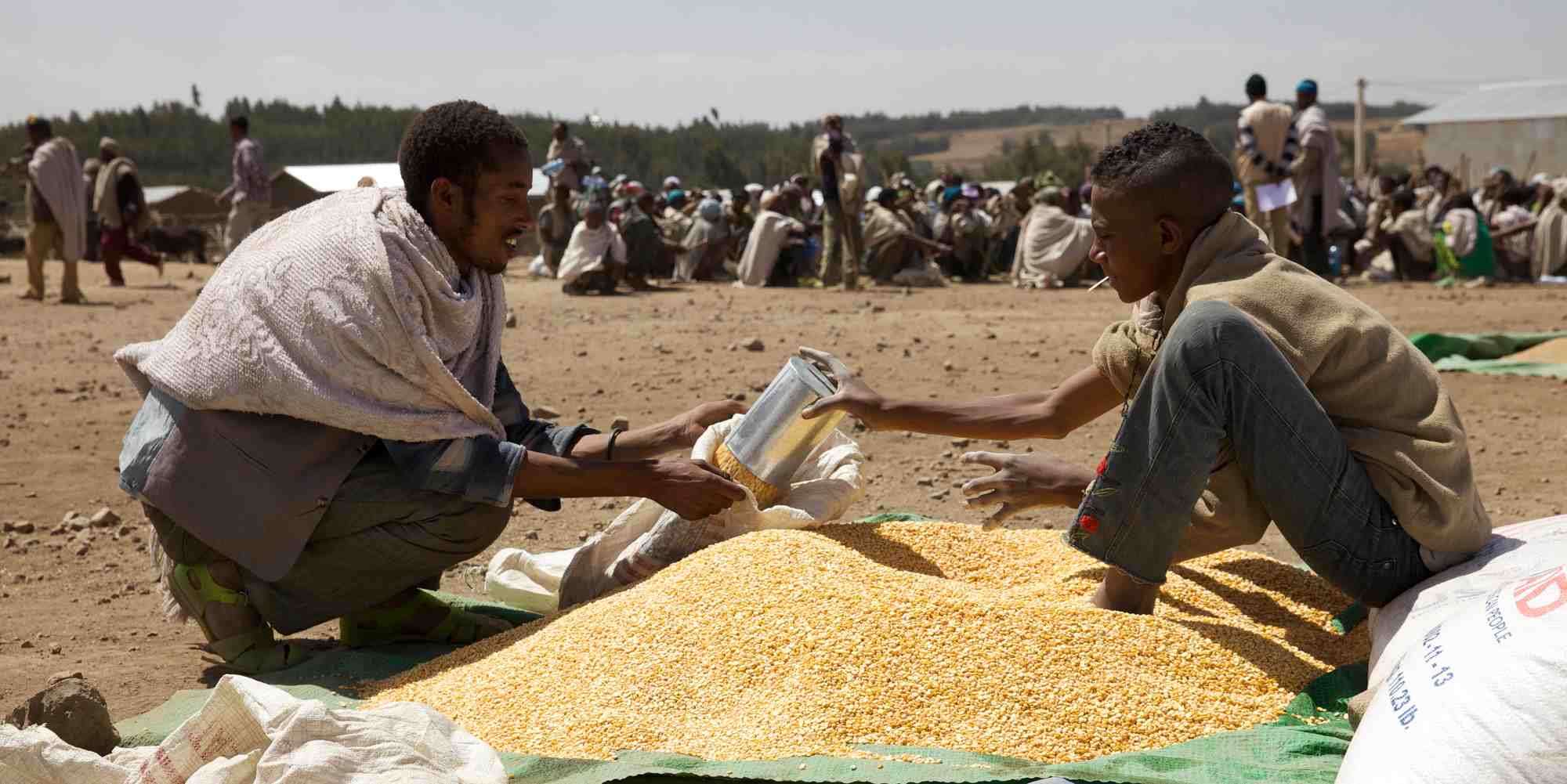 Ethiopie, aide humanitaire, famine, phénomène El Niño, sécheresse, récoltes, rivières asséchées, bétail, Banque mondiale, tourisme, Addis Abeba, conflit syrien, crise des réfugiés, agriculture de subsistance, faim, Care International, médecin, Etats-Unis, Union européenne, Nations unies,