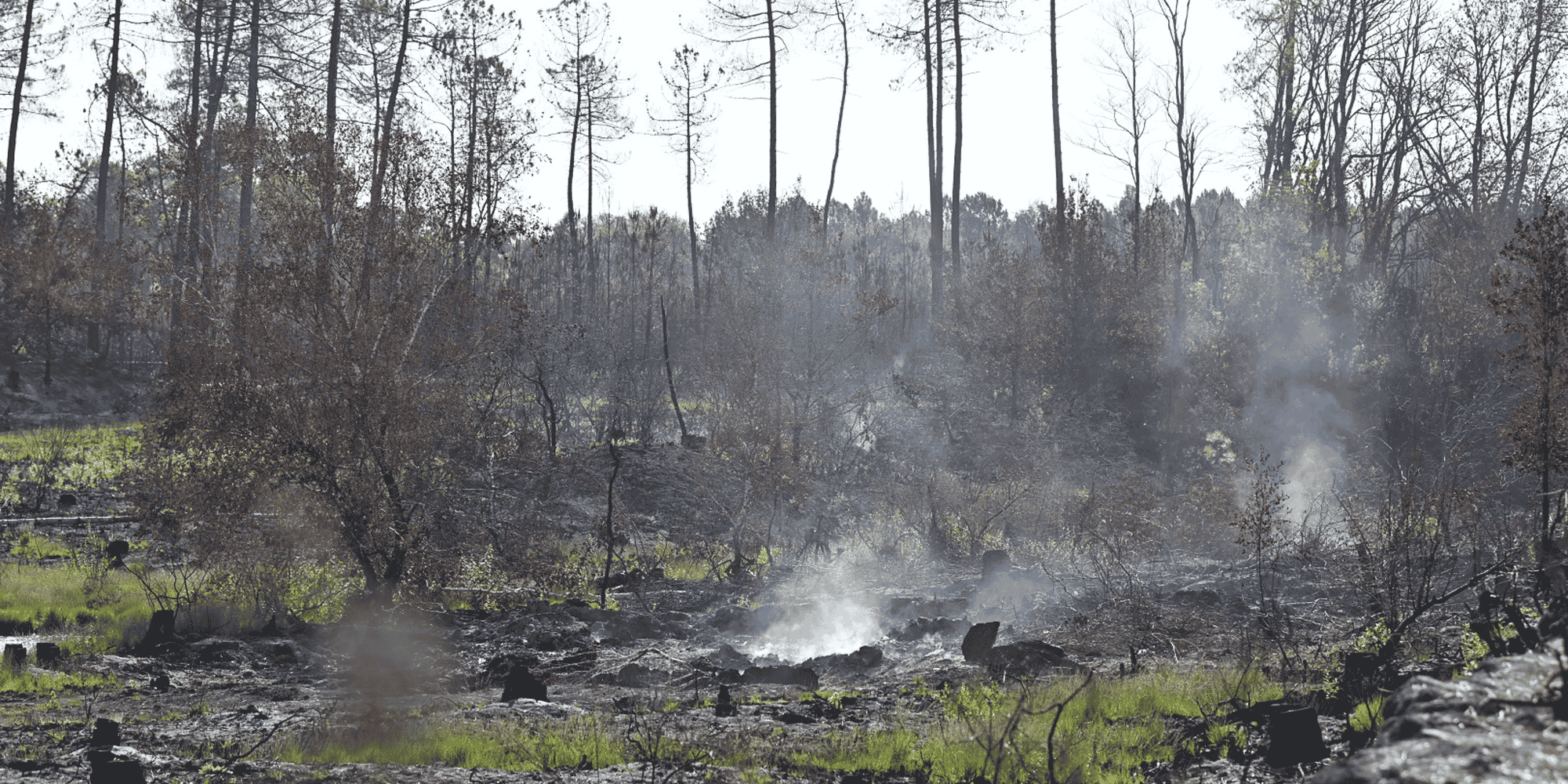 Incendie