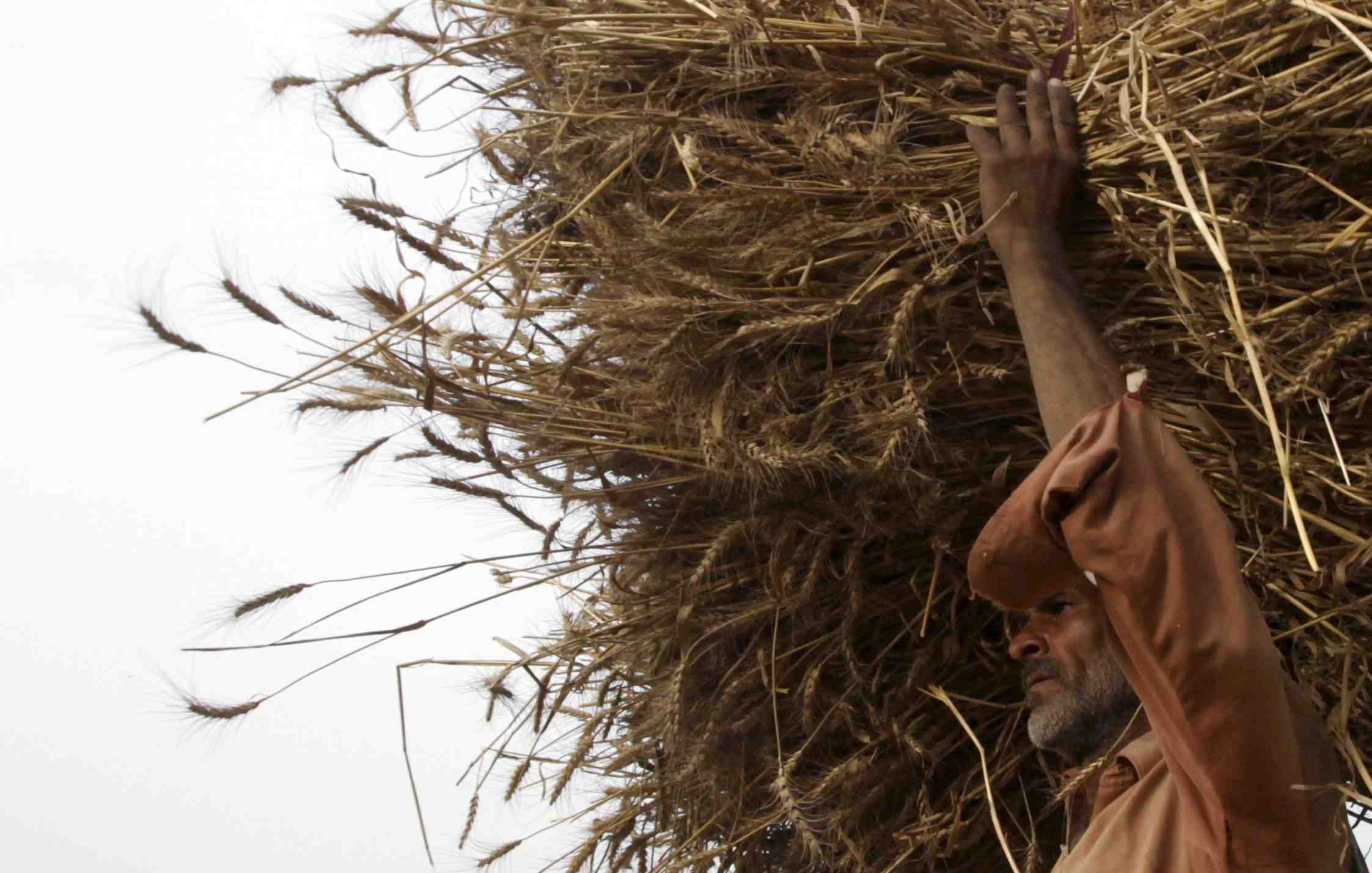 Les prix alimentaires dans le monde a leur plus bas niveau depuis 2009