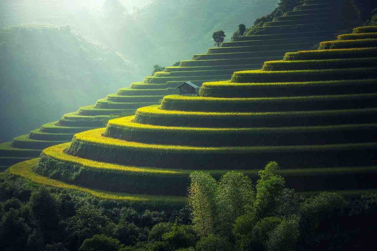 Environnement
