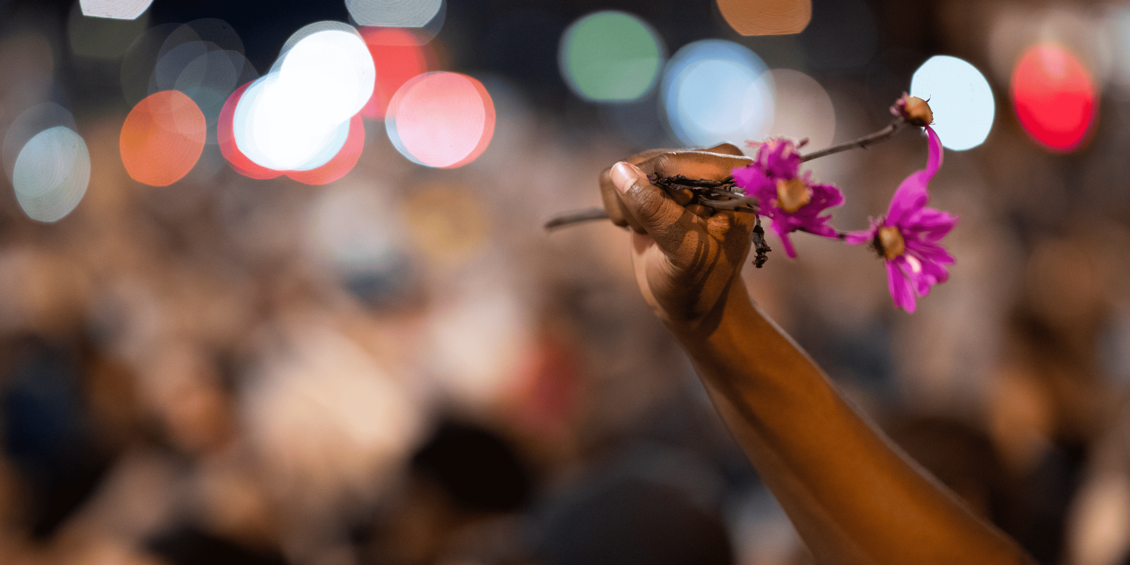 Violences policières États-Unis : une personne brandit une fleur, tandis que les manifestants s'assoient en silence pendant neuf minutes dans le cadre d'une manifestation pacifique pour protester contre la mort de George Floyd