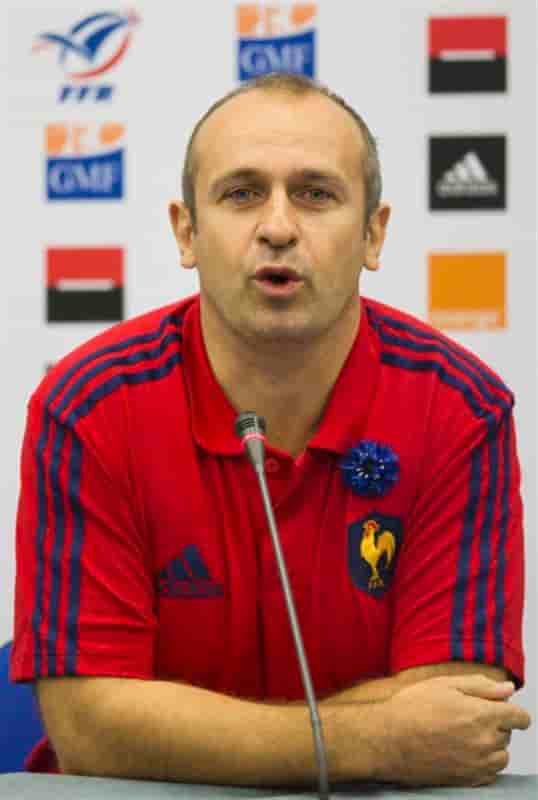 Rugby: Louis Picamoles et Thomas Domingo dans le groupe des Bleus