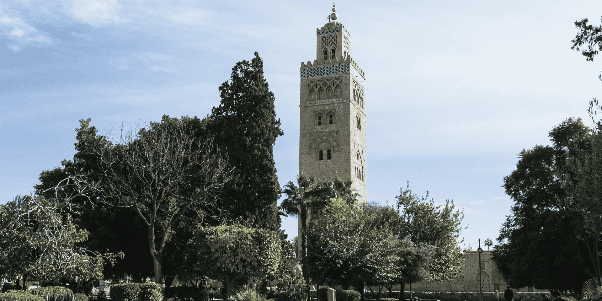 ALTDE-Marrakech, pionnière sur le bus électrique_COPYRIGHT_Pixabgay_com.
