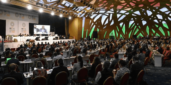 cop15