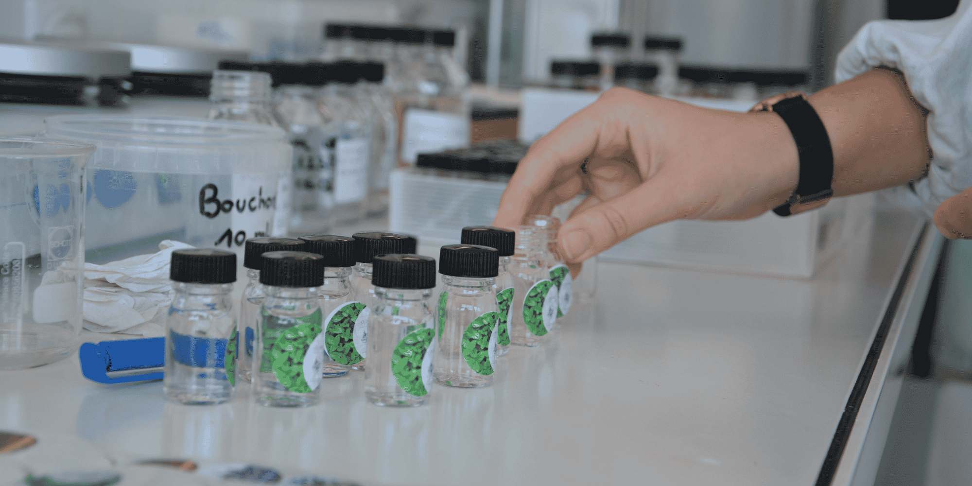 Sur son site de Gardonne en Dordogne, Berkem produit des extraits végétaux utilisés dans le domaine de la cosmétique ou de la construction notamment.