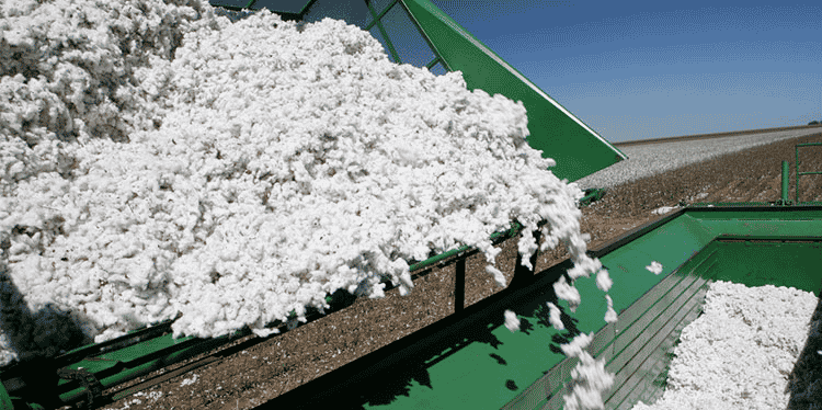 coton industrie