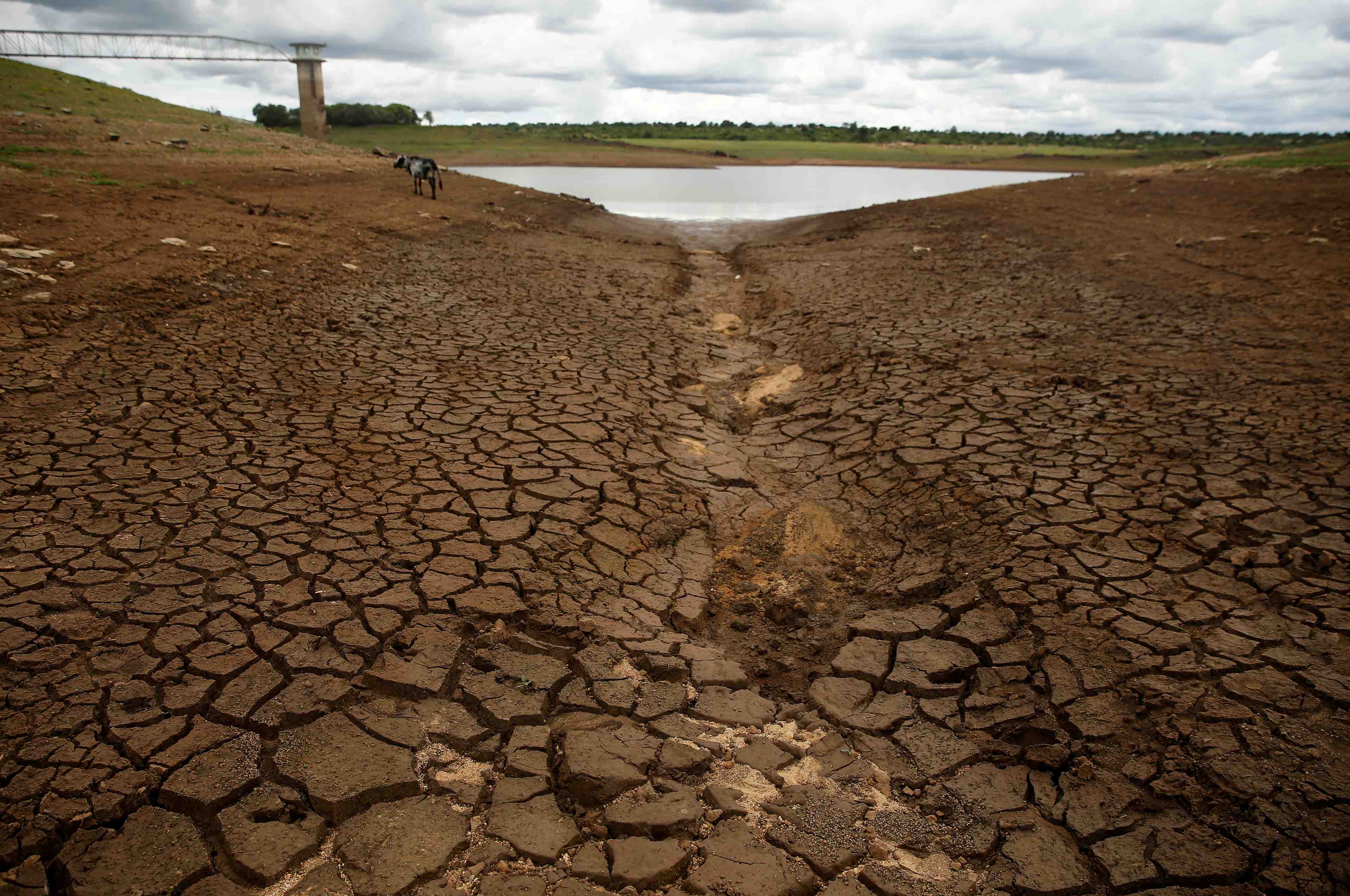 Monde: plus d'un milliard de deplaces d'ici 2050, selon un rapport