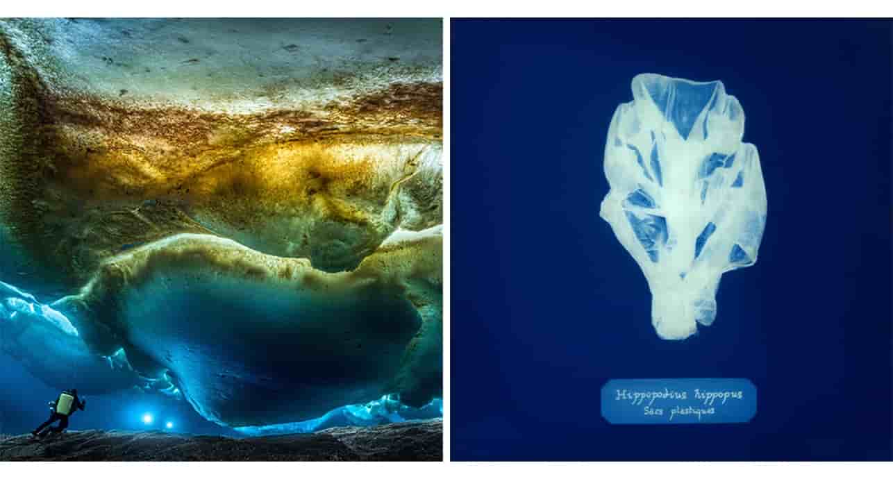 Plongeur sous-marin hors pair, Laurent Ballesta est biologiste et naturaliste de formation. Il a photographié avec un sens esthétique fortement développé les fonds sous-marins les plus méconnus.