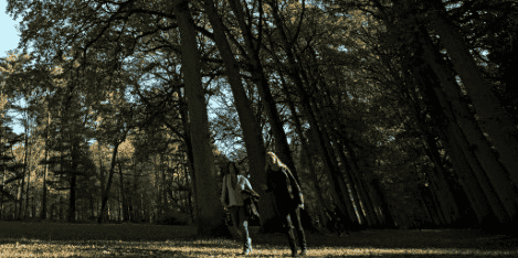 Un tiers des parcs naturels menaces par l'activite humaine
