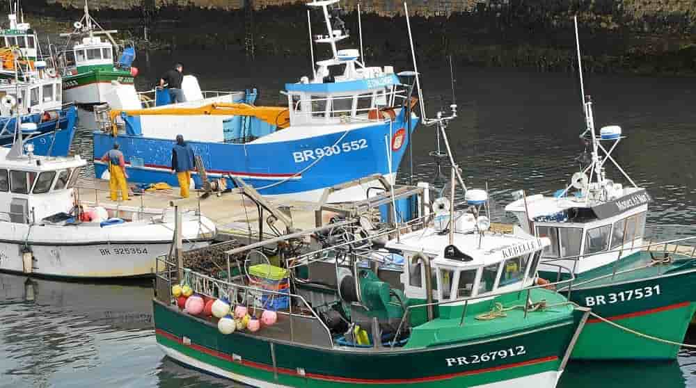 Le comité national des pêches est déterminé à contester « par tous les moyens » la décision du Conseil d'Etat.