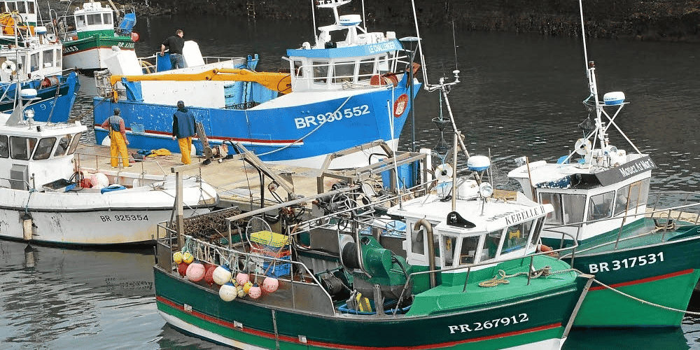 pêcher Brest