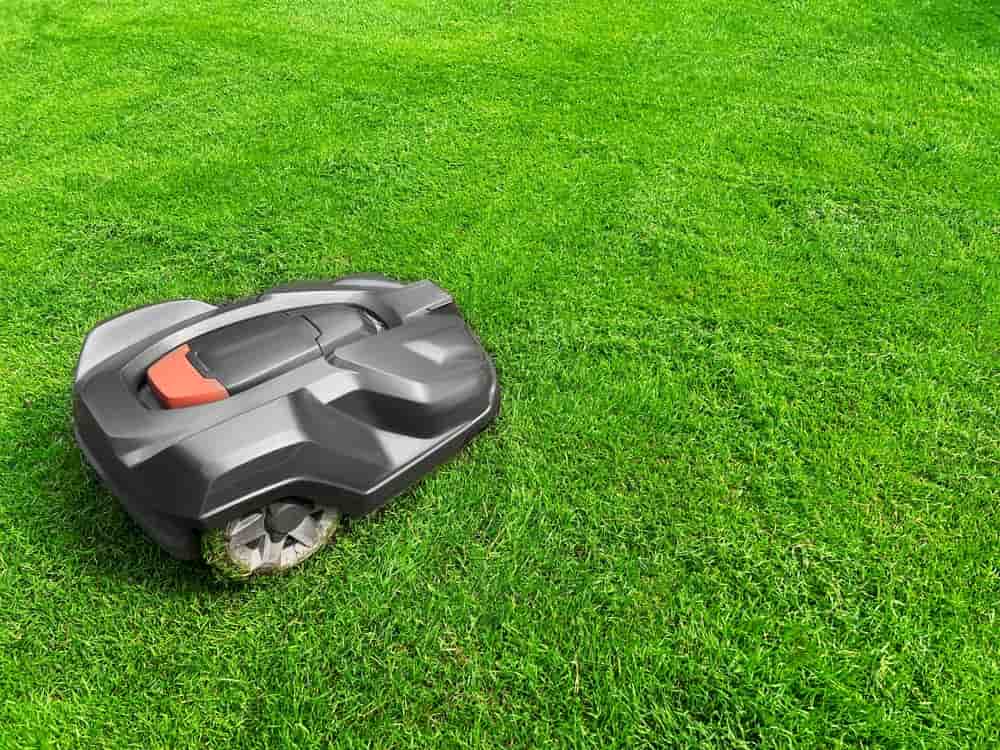 Prime Day Amazon : 15 % de remise sur ce robot tondeuse !