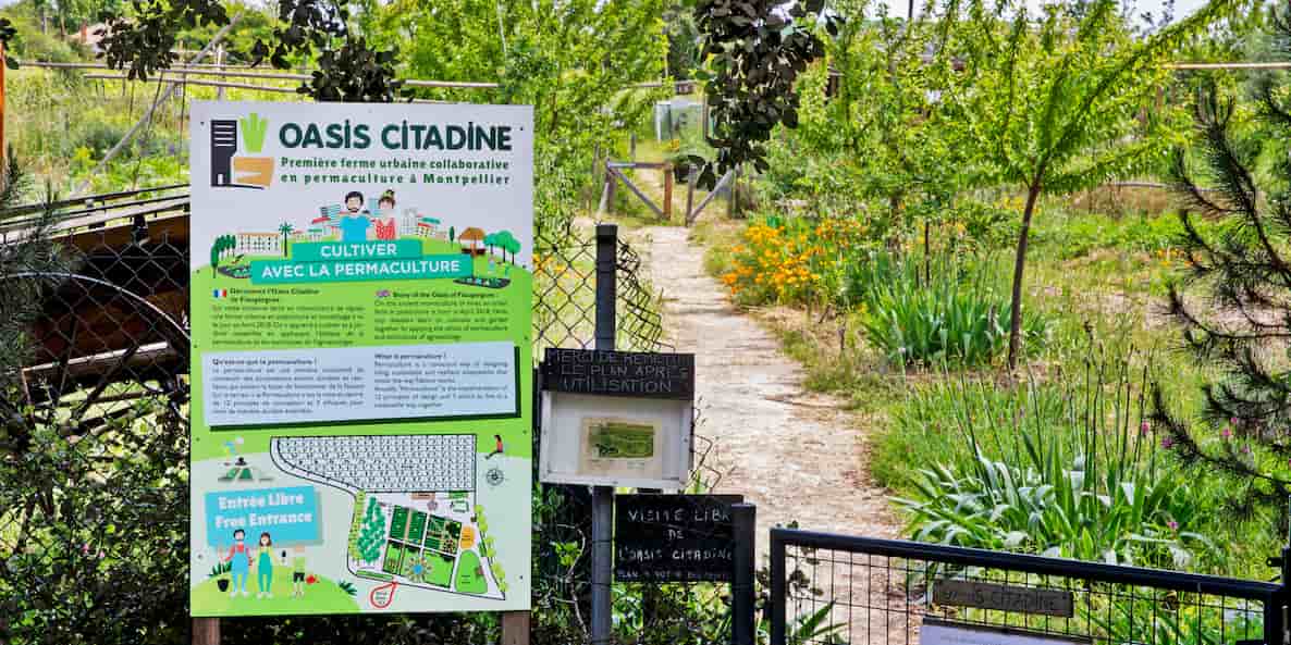 Les fermes urbaines intègrent de plus en plus les projets de rénovation urbaine des quartiers prioritaires de la ville (photo : la première ferme urbaine collaborative en permaculture à Montpellier).