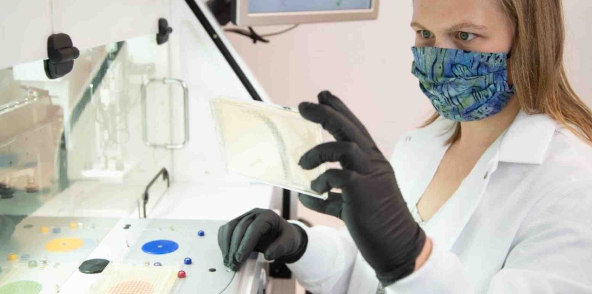 Lesaffre et Recombia Biosciences signent un partenariat stratégique visant à faire progresser une technologie innovante d’édition génétique