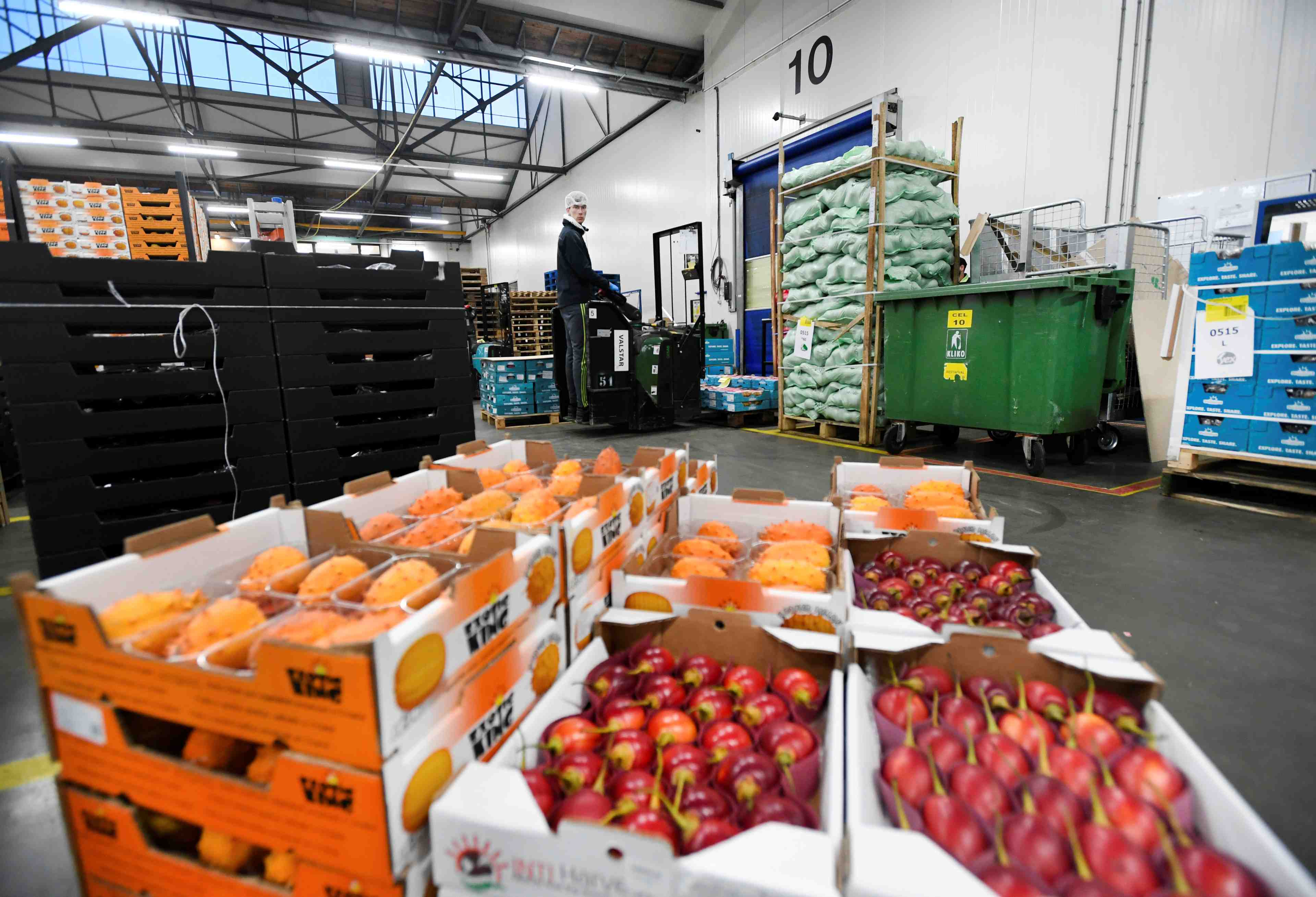 Brexit: les exportateurs neerlandais inquiets pour leurs produits frais en cas de "no-deal"