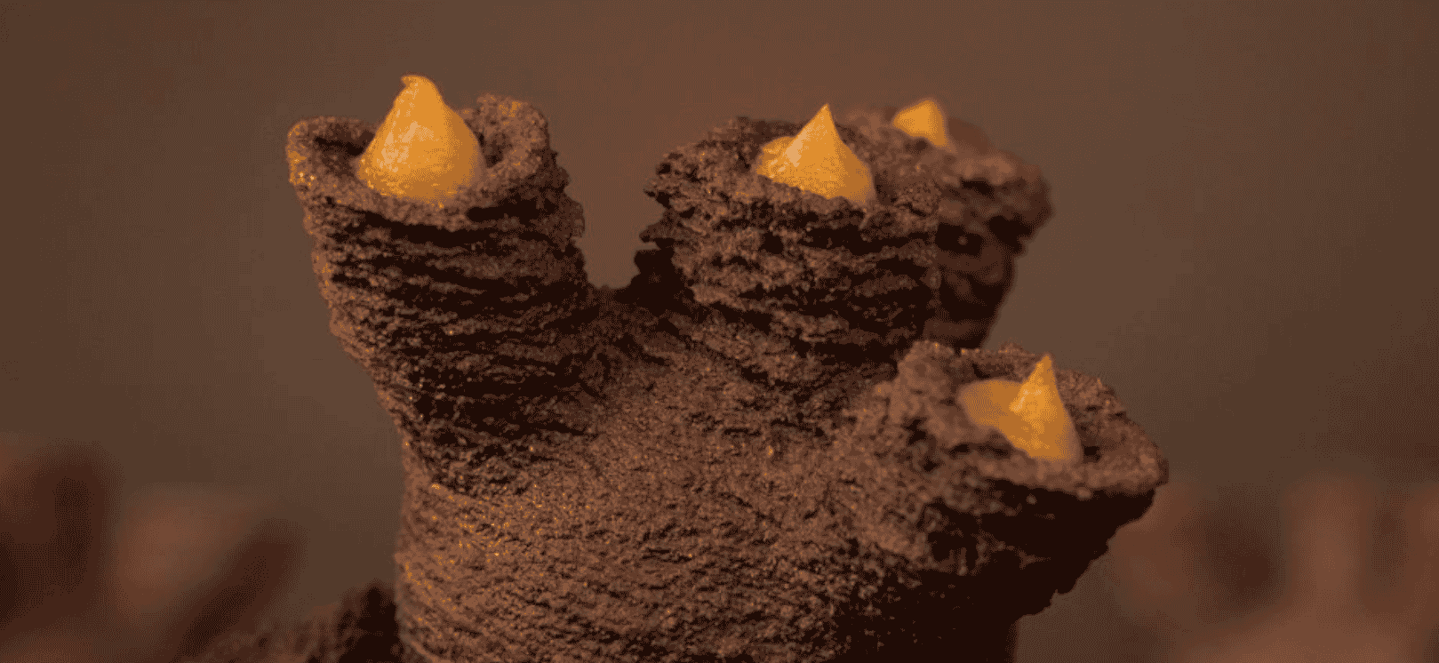 Corail, 3D, La Pâtisserie Numérique