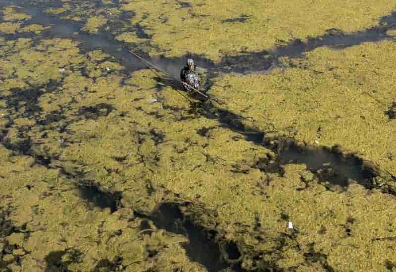 Amende record pour six entreprises pollueuses en chine