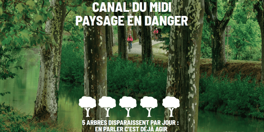 Carte postale Canal du Midi