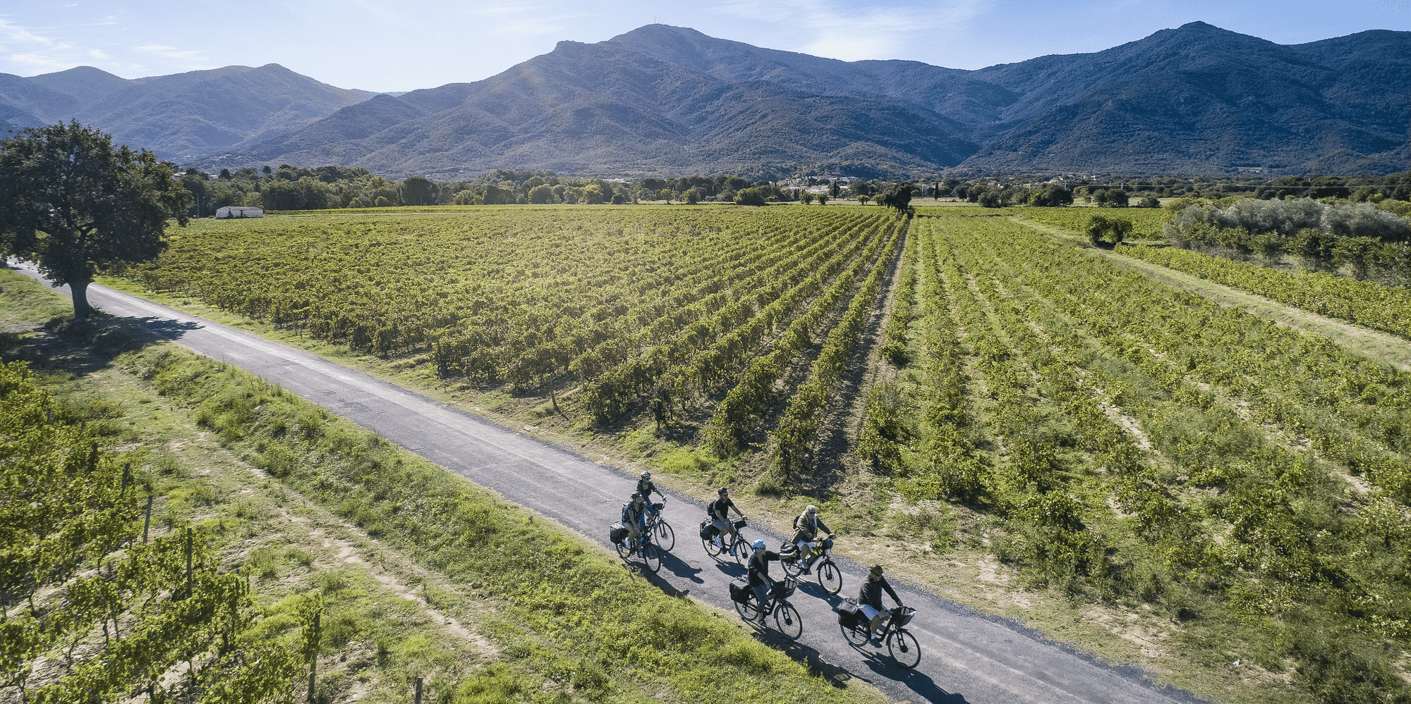 Les routes occitanes regorgent d'un potentiel colossal pour le tourisme à vélo entre le Canal du Midi, les Pyrénées et les paysages vallonnés du Tarn aux Cévennes.