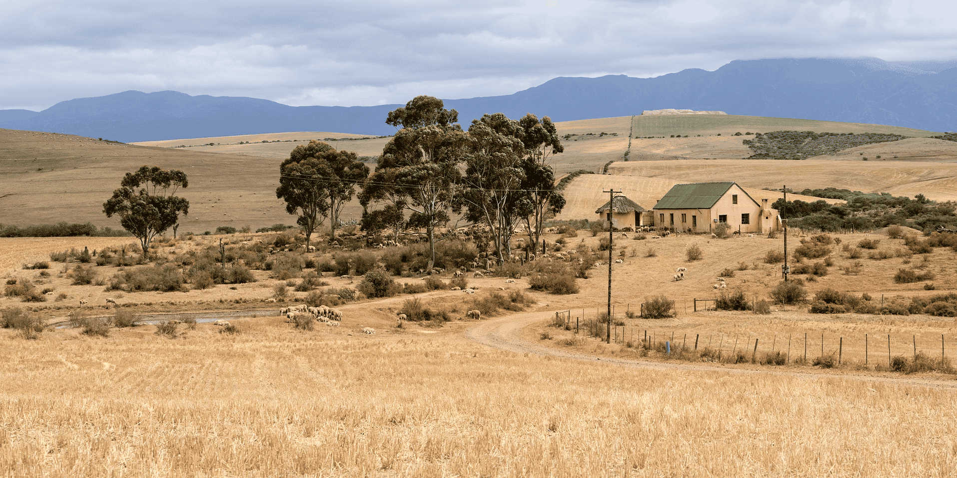 agriculture ferme