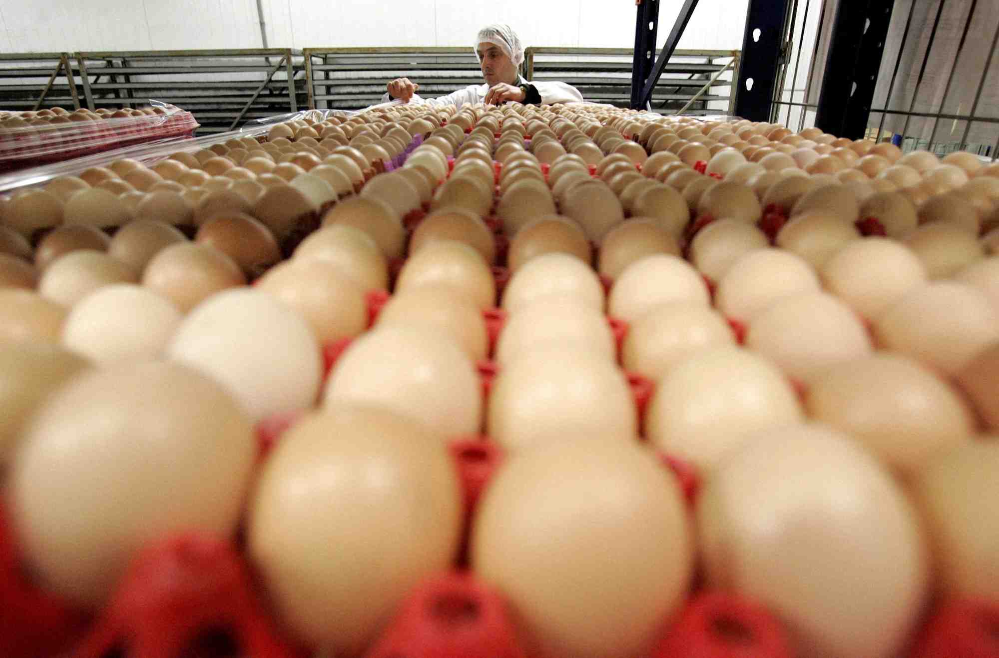 France: la societe matines annonce la cessation de ses activites