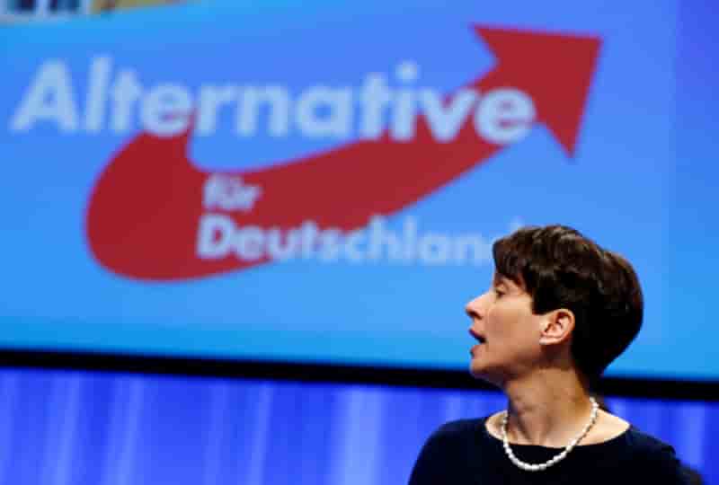 La presidente de l'afd prone un assouplissement de la legislation sur le port d'armes