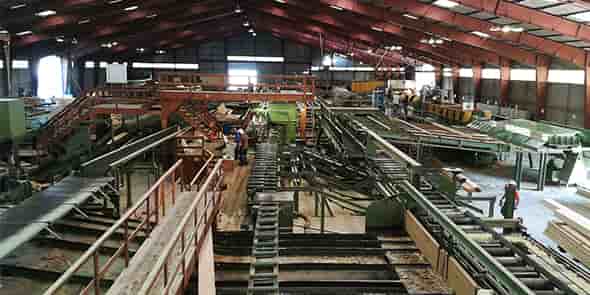 La filière bois Occitanie veut miser sur la modernisation du segment transformation