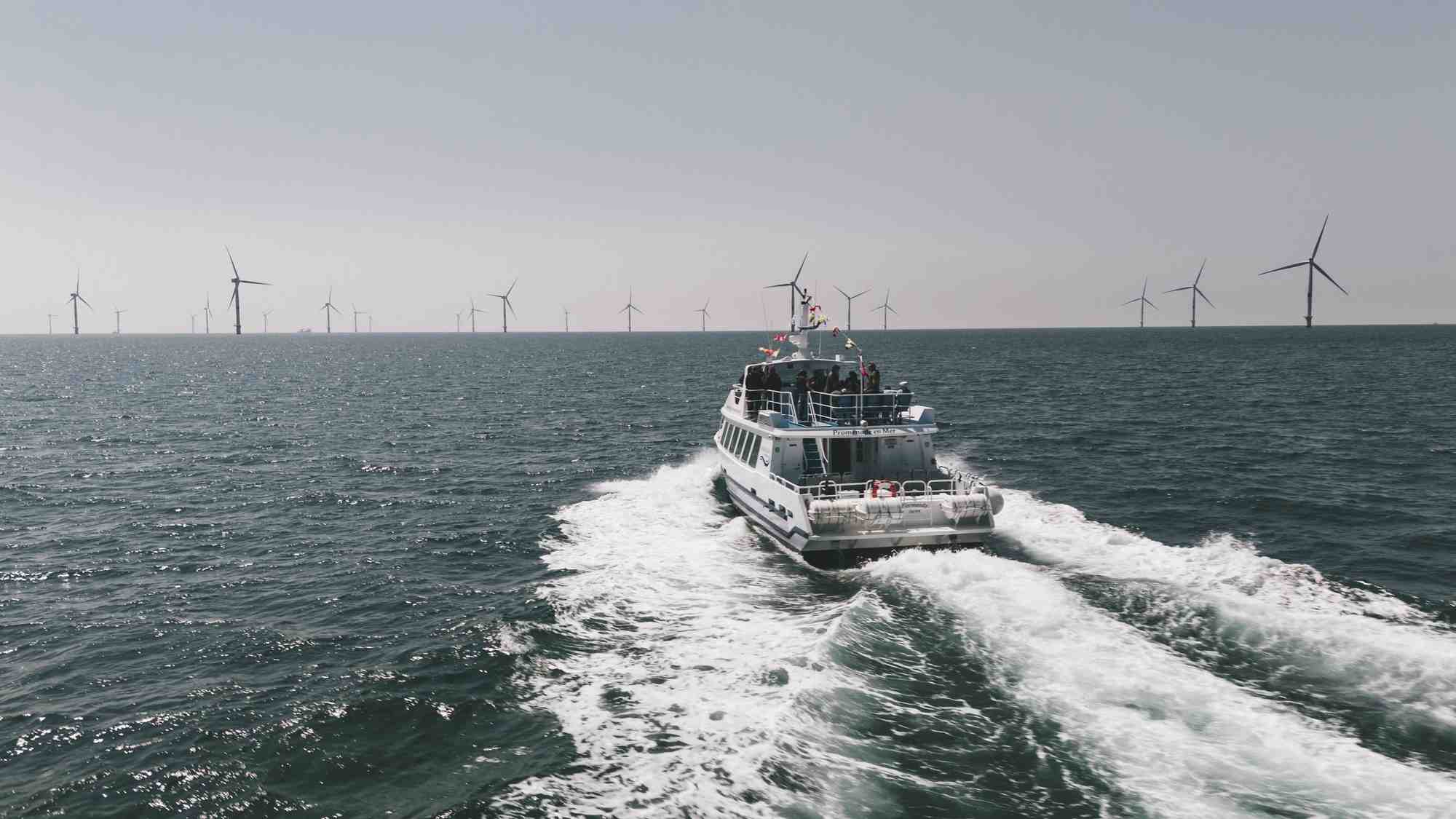 A partir du 16 avril, la compagnie Navigation Normande va proposer des excursions entre les 72 éoliennes du parc de Fécamp.